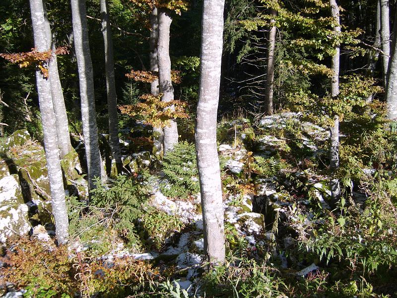 vercors_EB 020.jpg